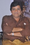 Heart Attack Movie Audio Success Meet - 34 of 68