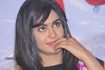 Heart Attack Movie Audio Success Meet - 51 of 68
