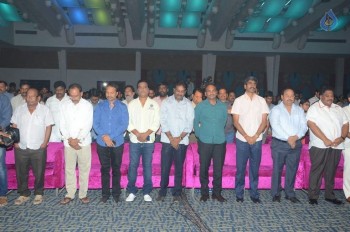 Hora Hori Audio Launch Photos 2 - 14 of 53