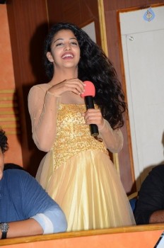 Hora Hori Platinum Disc Function - 49 of 50