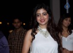 Hot Celebs at SIIMA Awards - 6 of 66