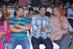 Hrudaya Kaleyam Movie Audio Launch - 136 of 150