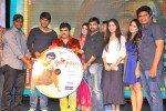 Hrudaya Kaleyam Movie Audio Launch - 63 of 150