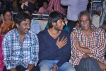 Hrudaya Kaleyam Movie Audio Launch - 77 of 150