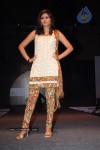Hyderabad Designer Week 2010 Fashion Show Gallery 2 - 33 of 169
