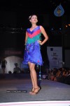 Hyderabad Designer Week 2010 Fashion Show Gallery 2 - 94 of 169