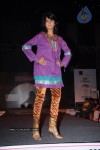 Hyderabad Designer Week 2010 Fashion Show Gallery 2 - 100 of 169