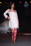 Hyderabad Designer Week 2010 Fashion Show Gallery 2 - 103 of 169