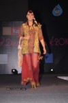 Hyderabad Designer Week 2010 Fashion Show Gallery 2 - 105 of 169