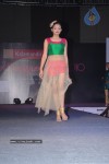 Hyderabad Designer Week 2010 Fashion Show Gallery 2 - 149 of 169