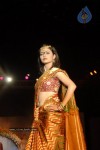 Hyderabad Designer Week 2010 Fashion Show Gallery 3 - 10 of 61