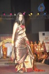 Hyderabad Designer Week 2010 Fashion Show Gallery 3 - 32 of 61