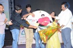 I am in Love Movie Audio Launch - 94 of 92