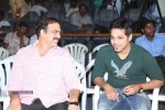 Ice Cream 2 Platinum Disc Function - 39 of 124