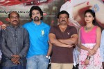 Ice Cream 2 Song Launch - 39 of 42