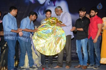 Iddaram Movie Audio Launch - 17 of 21