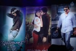 Iddarammayilatho Audio Launch 01 - 47 of 48