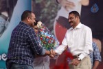 Iddarammayilatho Audio Launch 02 - 60 of 140