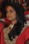 Iddarammayilatho Audio Launch 04 - 2 of 211