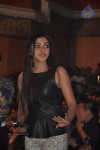 Iddarammayilatho Audio Launch 04 - 3 of 211