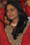 Iddarammayilatho Audio Launch 04 - 22 of 211