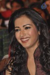 Iddarammayilatho Audio Launch 04 - 53 of 211