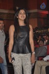 Iddarammayilatho Audio Launch 04 - 211 of 211