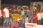 Iddarammayilatho Audio Launch 05 - 9 of 220