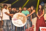 Iddarammayilatho Audio Launch 05 - 17 of 220