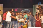 Iddarammayilatho Audio Launch 05 - 19 of 220