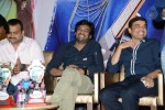 Iddarammayilatho Platinum Disc Function - 17 of 215