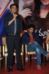 Iddarammayilatho Platinum Disc Function - 139 of 215