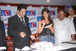 Ileana At Brand Ambassador Of  Big C - 2 of 45