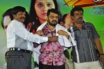 Innarku Innarendru Tamil Movie Audio Launch - 55 of 70