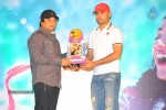 Ishq Movie Platinum Disc Function - 3 of 81