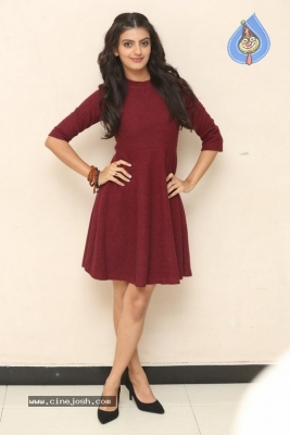 Istamga Movie Press Meet - 13 of 15