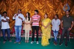 It's My Love Story Movie Platinum Disc Function - 30 of 83