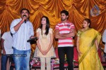 It's My Love Story Movie Platinum Disc Function - 13 of 83