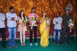 It's My Love Story Movie Platinum Disc Function - 29 of 83