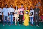 It's My Love Story Movie Platinum Disc Function - 66 of 83