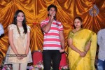 It's My Love Story Movie Platinum Disc Function - 77 of 83