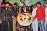 Jabilli Kosam Akasamalle Audio Launch 02 - 36 of 61
