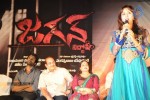 Jagan Nirdoshi Movie Audio Launch - 114 of 133