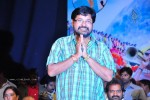 Jai Bolo Telangana Movie Audio Launch - 40 of 69