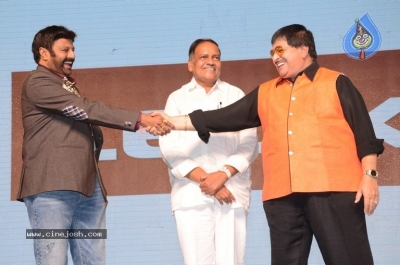 Jai Simha Audio Launch 03 - 14 of 42