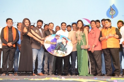 Jai Simha Audio Launch 04 - 12 of 21