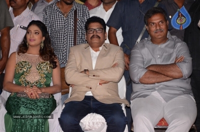 Jai Simha Audio Launch 05 - 29 of 74