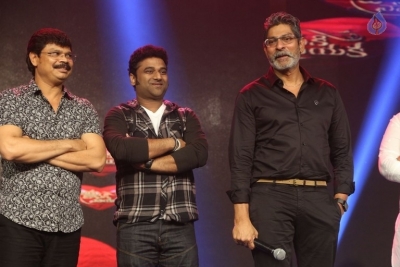Jaya Janaki Nayaka Movie Audio Launch 2 - 32 of 94