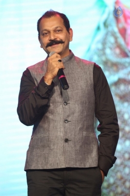 Jaya Janaki Nayaka Movie Audio Launch 2 - 34 of 94