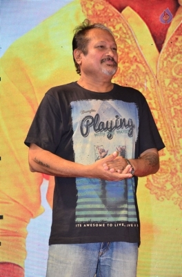 Jayadev Movie Pre Release Function 2 - 32 of 74